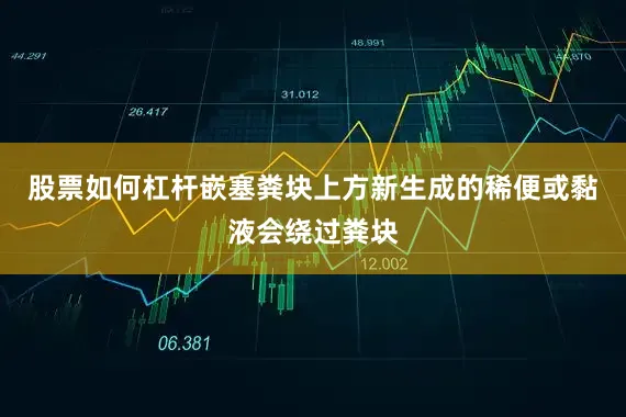 股票如何杠杆嵌塞粪块上方新生成的稀便或黏液会绕过粪块